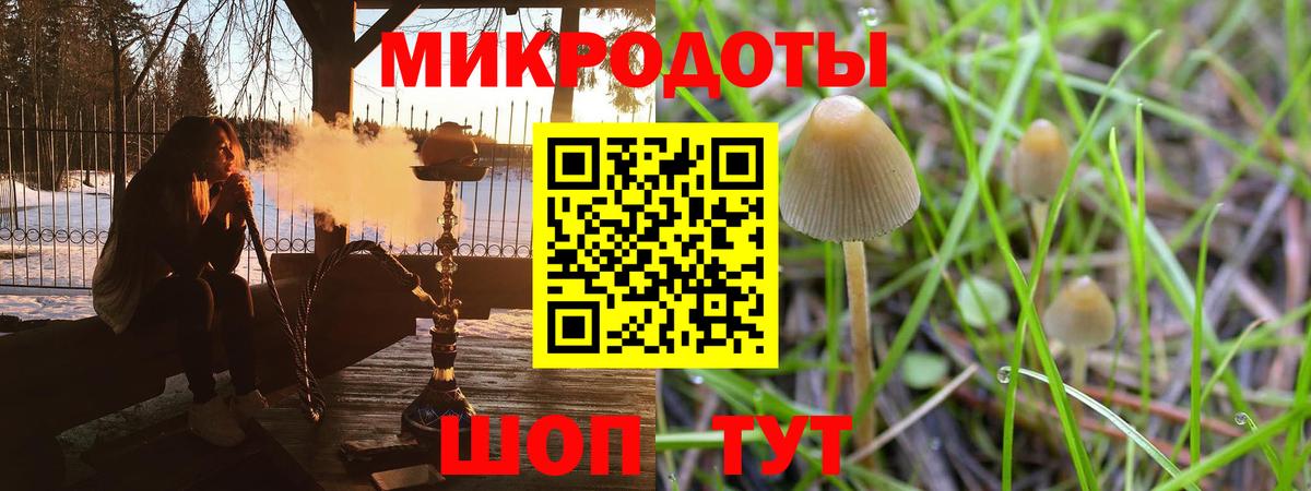 Лабинск  Псилоцибиновые грибы Psilocybe  Вход с VPN 
