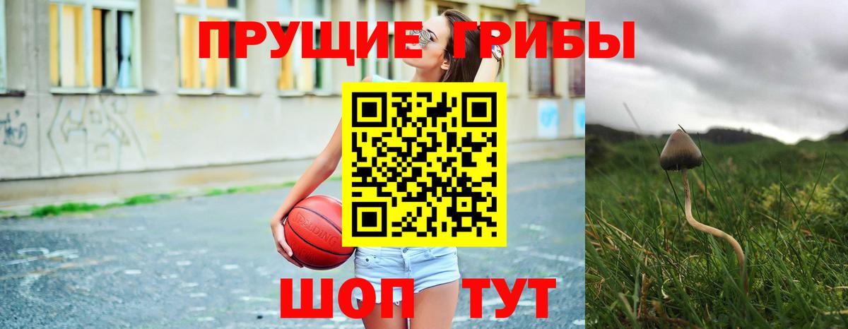Галлюциногенные грибы прущие грибы Лабинск