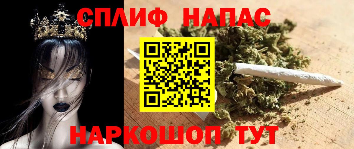 Конопля гибрид Лабинск